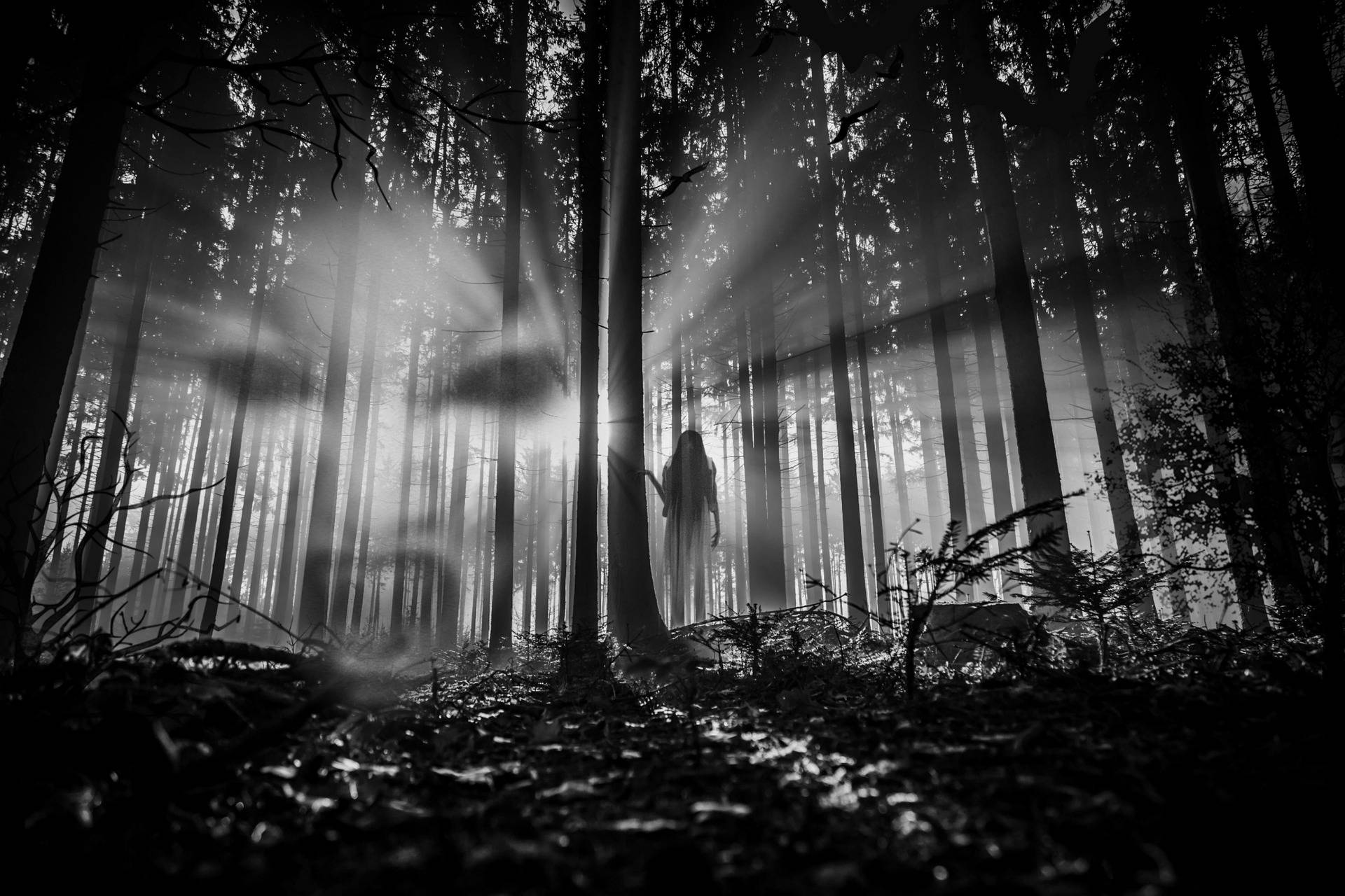Hauntings